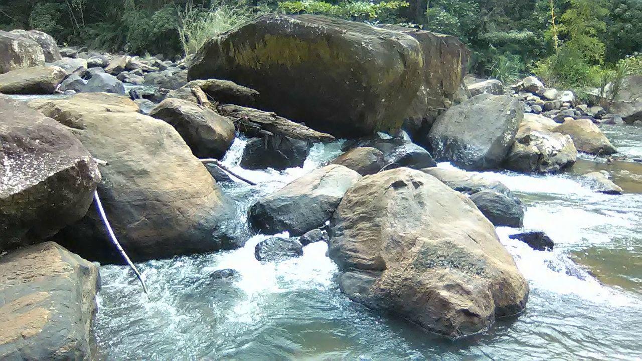 Sinharaja Hostel 114 Deniyaya Luaran gambar
