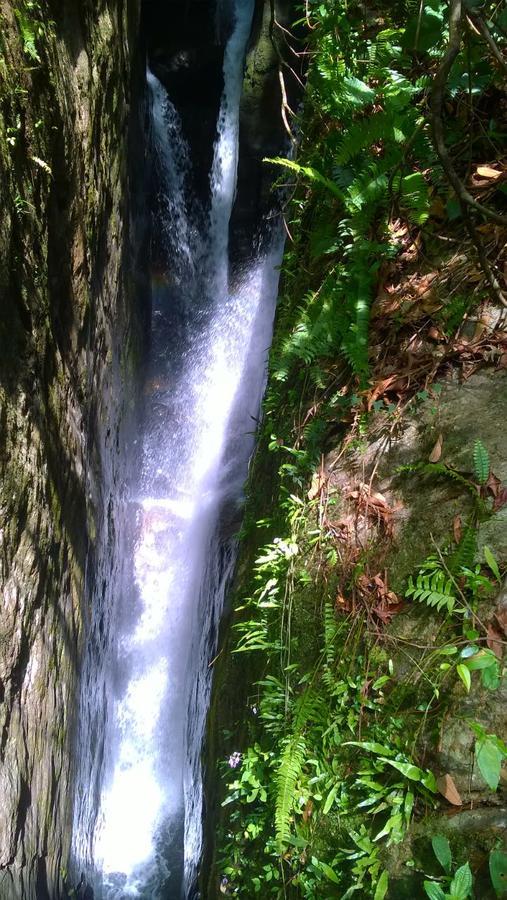 Sinharaja Hostel 114 Deniyaya Luaran gambar