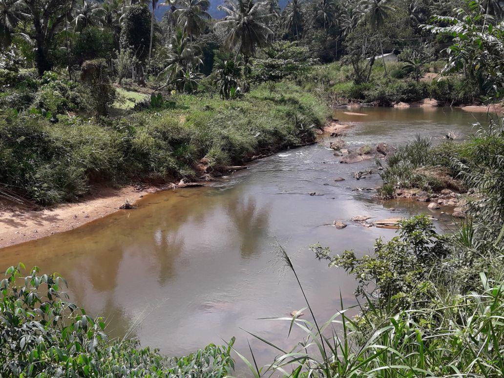 Sinharaja Hostel 114 Deniyaya Luaran gambar