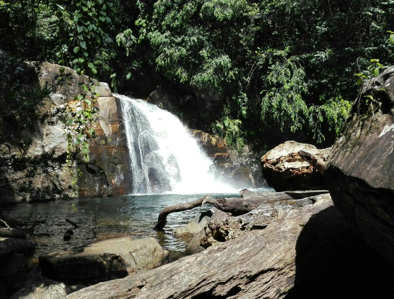 Sinharaja Hostel 114 Deniyaya Luaran gambar