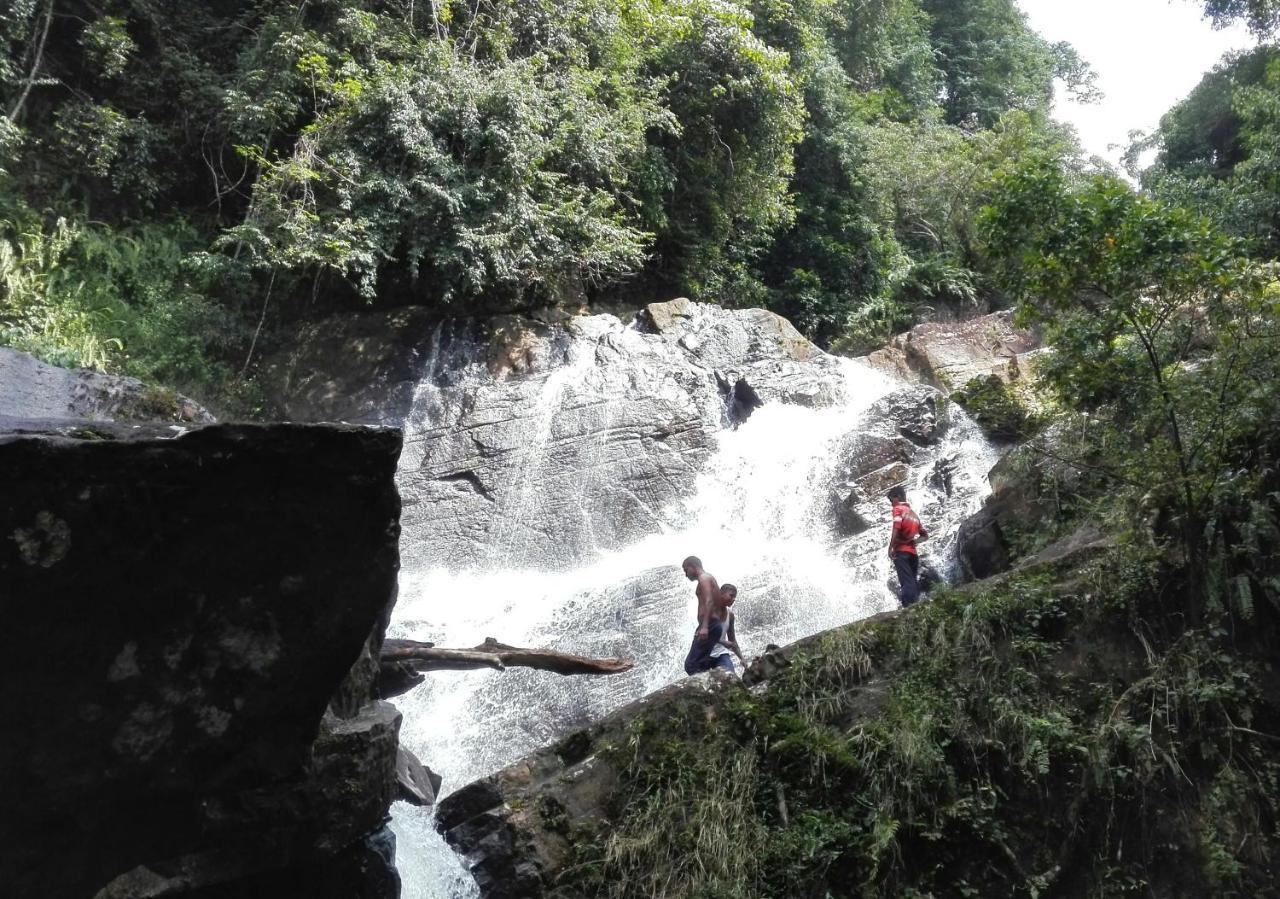 Sinharaja Hostel 114 Deniyaya Luaran gambar
