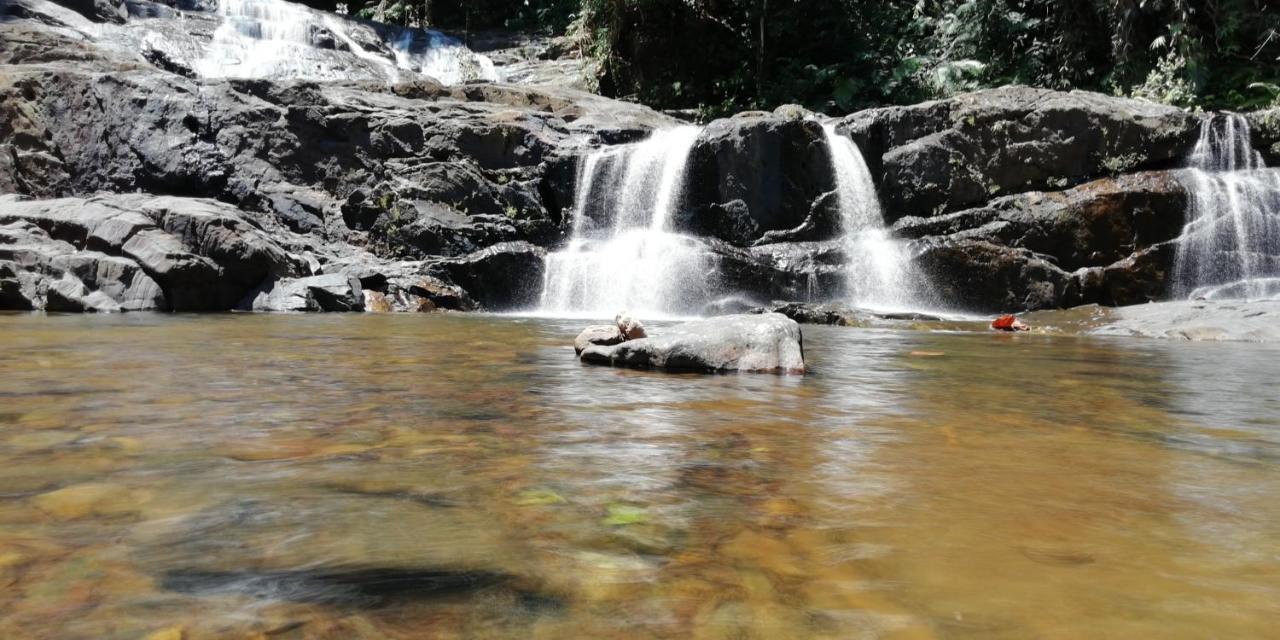Sinharaja Hostel 114 Deniyaya Luaran gambar